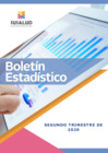 Vista preliminar de documento Boletín Estadístico II Trimestre 2020