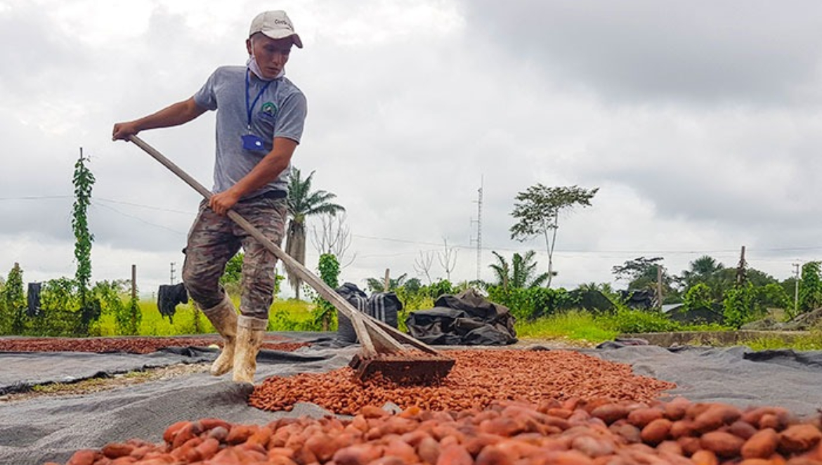 Peru noticias