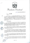 Vista preliminar de documento RD 52-2020-PNSU