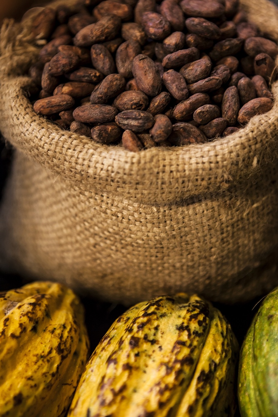 El año pasado, las exportaciones de cacao alcanzaron los $294.9 millones, es decir, un incremento del 10 %.