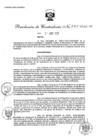 Vista preliminar de documento RC N° 261-2020-CG