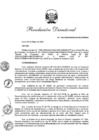 Vista preliminar de documento RD. 110-2020