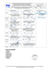 Vista preliminar de documento PROCEDIMIENTO-RIV