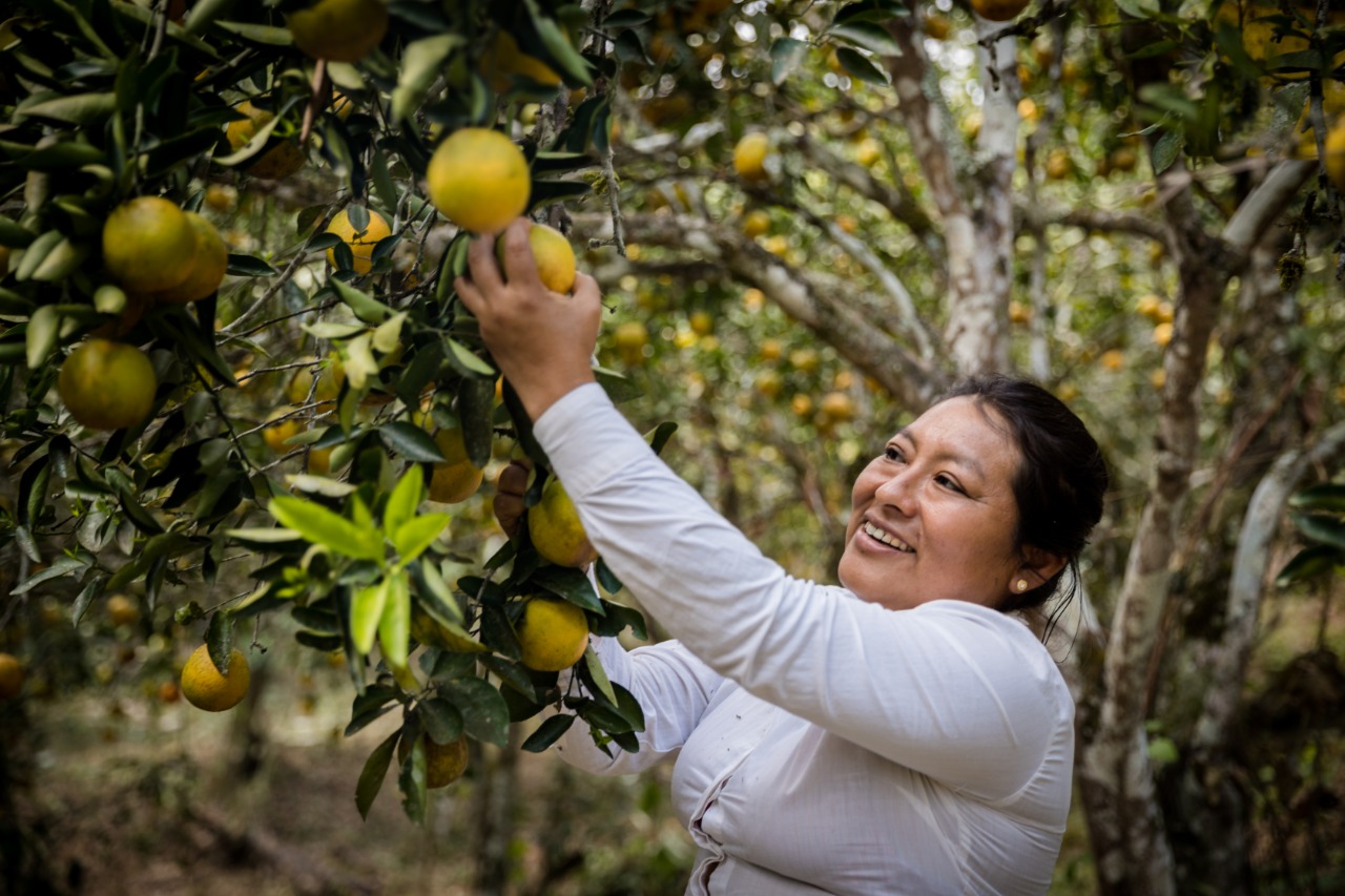 Peru noticias