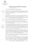 Vista preliminar de documento RA_446-2020-MPV