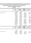 Vista preliminar de documento Anexo 3 - Distribución del gasto del presupuesto del sector publico por nivel de gobierno y funciones