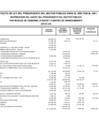 Vista preliminar de documento Anexo 4 - Distribución del gasto del presupuesto del sector publico por niveles de gobierno, pliegos y fuentes de financiamiento