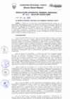 Vista preliminar de documento Resolución de Gerencia General