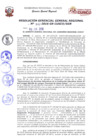 Vista preliminar de documento Resolución de Gerencia General