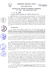 Vista preliminar de documento Resolución de Gerencia General