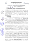 Vista preliminar de documento Resolución de Gerencia General