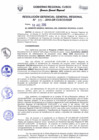 Vista preliminar de documento Resolución de Gerencia General