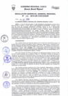 Vista preliminar de documento Resolución de Gerencia General