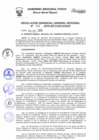 Vista preliminar de documento Resolución de Gerencia General