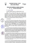 Vista preliminar de documento Resolución de Gerencia General