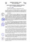 Vista preliminar de documento Resolución de Gerencia General