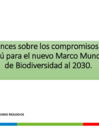 Vista preliminar de documento 5. Ppt marco mundial DB 2030