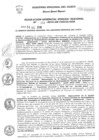 Vista preliminar de documento Resolución de Gerencia General