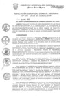 Vista preliminar de documento Resolución de Gerencia General