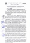 Vista preliminar de documento Resolución de Gerencia General
