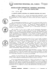 Vista preliminar de documento Resolución de Gerencia General