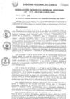 Vista preliminar de documento Resolución de Gerencia General