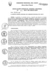 Vista preliminar de documento Resolución de Gerencia General