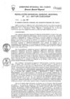 Vista preliminar de documento Resolución de Gerencia General