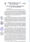 Vista preliminar de documento Resolución de Gerencia General