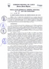 Vista preliminar de documento Resolución de Gerencia General