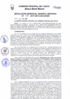 Vista preliminar de documento Resolución de Gerencia General