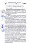 Vista preliminar de documento Resolución de Gerencia General