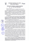 Vista preliminar de documento Resolución de Gerencia General