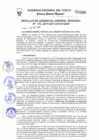 Vista preliminar de documento Resolución de Gerencia General