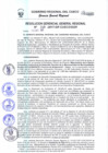 Vista preliminar de documento Resolución de Gerencia General