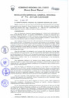 Vista preliminar de documento Resolución de Gerencia General