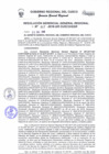 Vista preliminar de documento Resolución de Gerencia General