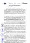 Vista preliminar de documento Resolución de Gerencia General