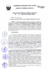 Vista preliminar de documento Resolución de Gerencia General