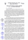 Vista preliminar de documento Resolución de Gerencia General