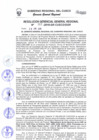 Vista preliminar de documento Resolución de Gerencia General
