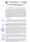 Vista preliminar de documento Resolución de Gerencia General