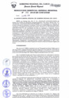 Vista preliminar de documento Resolución de Gerencia General