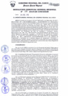 Vista preliminar de documento Resolución de Gerencia General