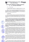 Vista preliminar de documento Resolución de Gerencia General