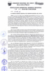 Vista preliminar de documento Resolución de Gerencia General