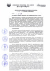 Vista preliminar de documento Resolución de Gerencia General