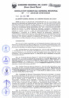 Vista preliminar de documento Resolución de Gerencia General