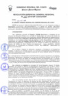 Vista preliminar de documento Resolución de Gerencia General