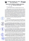 Vista preliminar de documento Resolución de Gerencia General